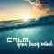 Calm Down - Calming Music Academy lyrics