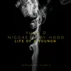 N****z in My Hood (feat. Killa G) - Single album lyrics, reviews, download