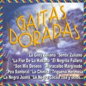 Gaitas Doradas artwork