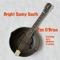 Bright Sunny South (feat. Arty McGlynn & Lúnasa) - Single