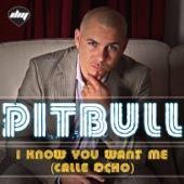 I Know You Want Me (Calle Ocho) [Radio Edit] artwork