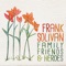Mexico (with Megan McCormick) - Frank Solivan lyrics