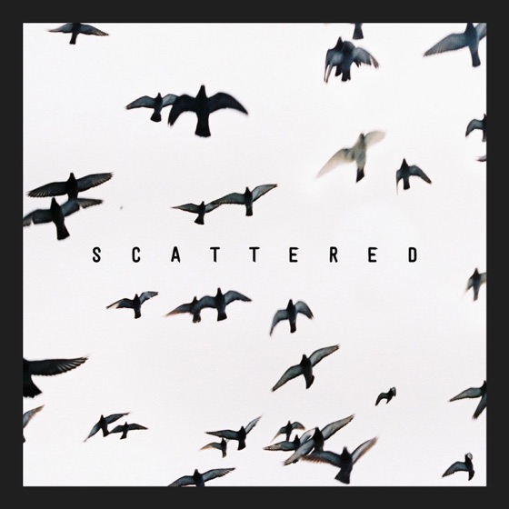 Cover artwork for Scattered