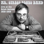 Mr Stress Blues Band - How Many More Years