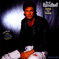 David Hasselhoff - Looking for Freedom artwork