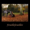 Feuillefeuillee