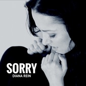 Sorry artwork