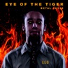 Eye of the Tiger (Metal Cover) - Single