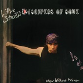 Little Steven & The Disciples of Soul - Princess of Little Italy