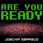 Are U Ready? (Laidback Luke Remix) artwork