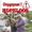 Duo Hopeloos -  Morgen