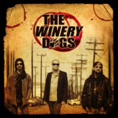The Winery Dogs artwork