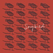 SongBird, Vol. I (feat. João Hasselberg & Luis Figueiredo) artwork