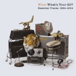 Wilco - California Stars