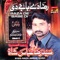 Hal Min Nasir - Syed Raza Abbas Shah lyrics