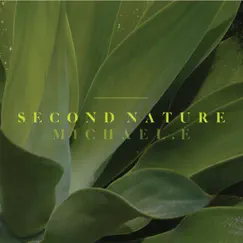 Second Nature by Michael E album reviews, ratings, credits