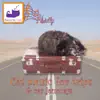 Cat Music for Trips & Car Journeys album lyrics, reviews, download