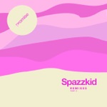 Spazzkid - Goodbye (Choongum Remix)