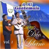 A Mi Guatemala, Vol. 1