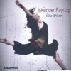 İskender Paydaş - Carmina Buruna
