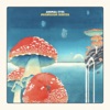 Mushroom Hunter - Single