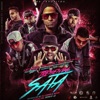 Tremenda Sata, Pt. 2 (Remix) [feat. Arcángel, Ñengo Flow, Ñejo, Lui-G 21+, Farruko, Zion & J Balvin] - Single