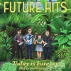 Future Hits - Ave De Nylon