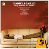 Time Forgot (To Change My Heart) by Daniel Romano