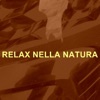Livello di Consapevolezza - Delfini - Relax nella Natura
