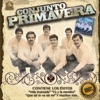 Conjunto Primavera - Que Tal Te Va Sin Mi