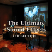 Night Time Owl Screetch - Ultimate Sound Effects Group