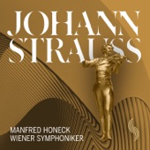 Johann Strauss artwork