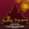 Om Nama Shivaya - Single