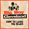 Goin' to Leave You Blues - Single