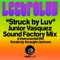 Struck By Luv - Lectroluv & Fred Jorio lyrics