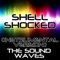 Shell Shocked (Instrumental Version) artwork