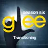 Glee: The Music, Transitioning - EP album lyrics, reviews, download