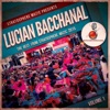 Lucian Bacchanal 2015, V*l. 1 (The Best from Stratosphere Muzic 2015)