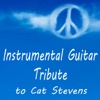 Instrumental Guitar Tribute to Cat Stevens