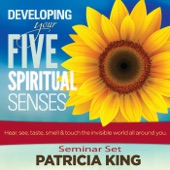 Developing Your Five Spiritual Senses Seminar Set artwork