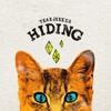Hiding - EP, 2014