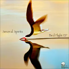 Bird Flight - Single by Several Spirits album reviews, ratings, credits