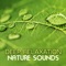 Atlantic Ocean - Deep Relaxation Meditation Academy lyrics