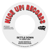 Settle Down (feat. Exco Levi) - Blend Mishkin & Roots Evolution