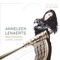 Concierto de Aranjuez: II. Adagio artwork