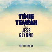 Not Letting Go (feat. Jess Glynne) artwork