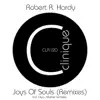 Stream & download Joys of Soul (Matter Remix)