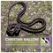 Agua Ardiente (Jazzy Eyewear Remix) - Christian Malloni lyrics