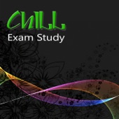 Chill Exam Study – Music for Studying, Power Mind, Brain Gym, Concentartion, Improve Memory, Reading artwork