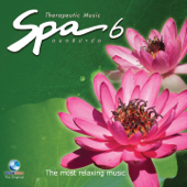 Spa Music ดนตรีบำบัด, Vol. 3 - ชาตรี สุวรรณมณี